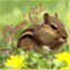 chipmunksclothes.wordpress.com