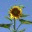 communitycongregation.wordpress.com