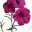 magicpenny.wordpress.com