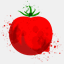 chefvary.com