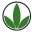 evsbrasil.wordpress.com