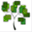 treeswithleaves.com