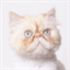 margot.ca