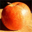 crashsystems.net