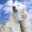 ensdistribution.com