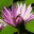 bahtwe.wordpress.com