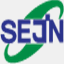 gsejin.com