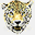 jaguarsoft.com