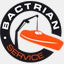bactrian.eu
