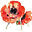 kelliott.co.uk