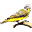xirico.com