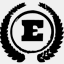 endo-e.com