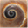 daveda.org