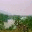 krausirpi.wordpress.com