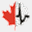 cmbes.ca