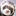 themagicferret.com