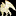 polymorf-hyperborea.blogspot.com