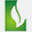 linsont.com