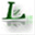 thelightzoom.com
