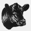 paintrockangus.com