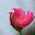 bepastudio.com