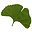 dgcag.com