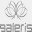 galeris.pl