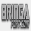 bringaport.com