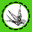 sparrowflyfree.com