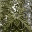 clayplace.wordpress.com