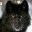 mundodeodin.wordpress.com