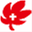 hirainaikashoukakika.org