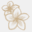 newsletter.balitherme.de