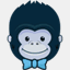 getkong.org