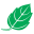 leaftechnologies.co.za