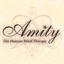 a-amity.com