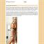 flingreviews.sitew.in