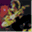 stryder.de