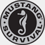 mwconsulting.pl