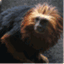 monkeymoe.wordpress.com