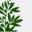 aceitesasc.com