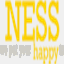 nesscommunication.com