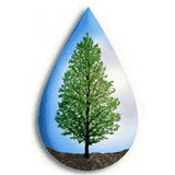 engineeredwatersolutions.net