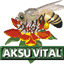 yunusaksu.com