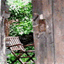 detodo-corazon.over-blog.es