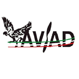 aviad.it