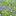 teucrium.com