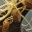 jmjohnsen.wordpress.com