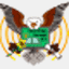 jungle-networks.com