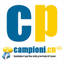 capgerisconsulting.com